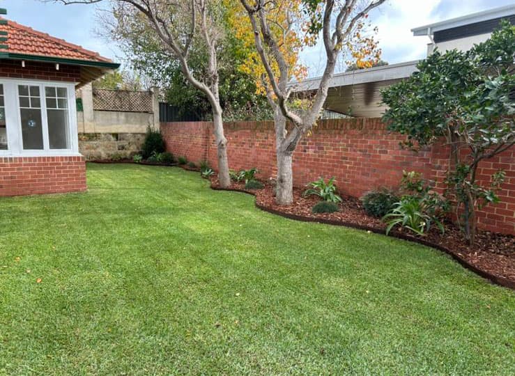 Turf installation Perth — fresh lawn laid
